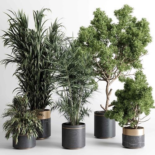 indoor plant 474 pot plant tree metal and marble dirt vase 3D model