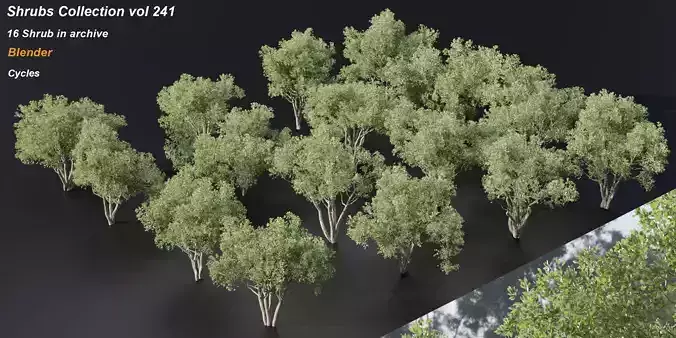 Shrubs Collection vol 241-Blender
