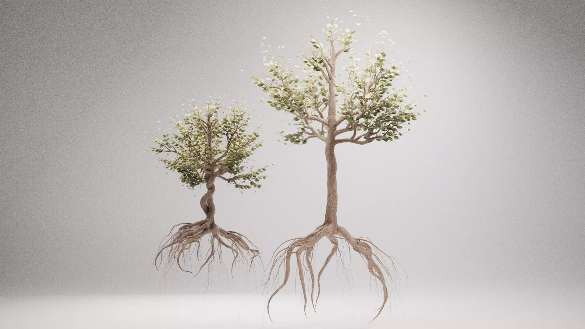 Lowpoly Trees Low-poly 3D model_0