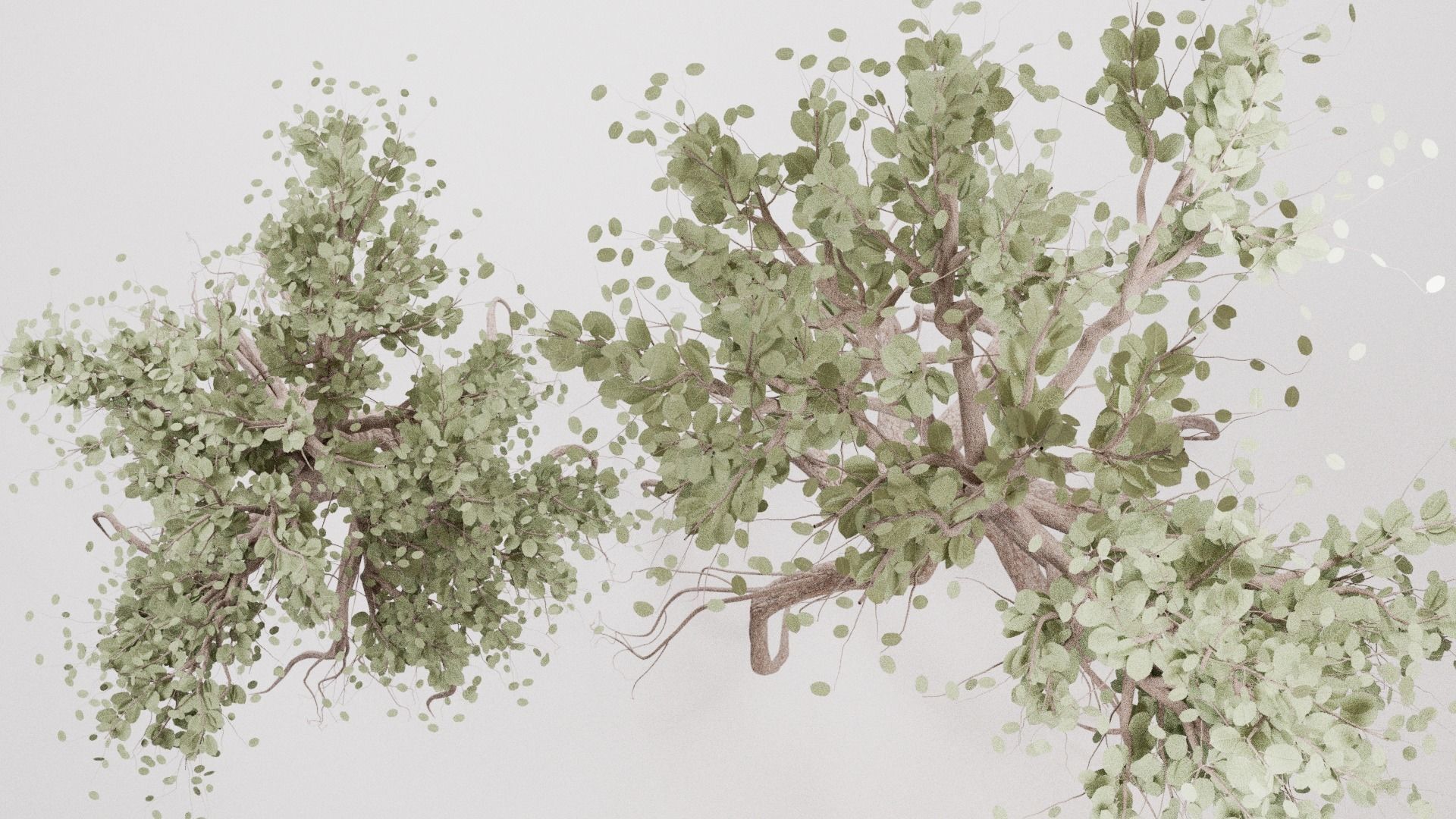 Lowpoly Trees Low-poly 3D model_2