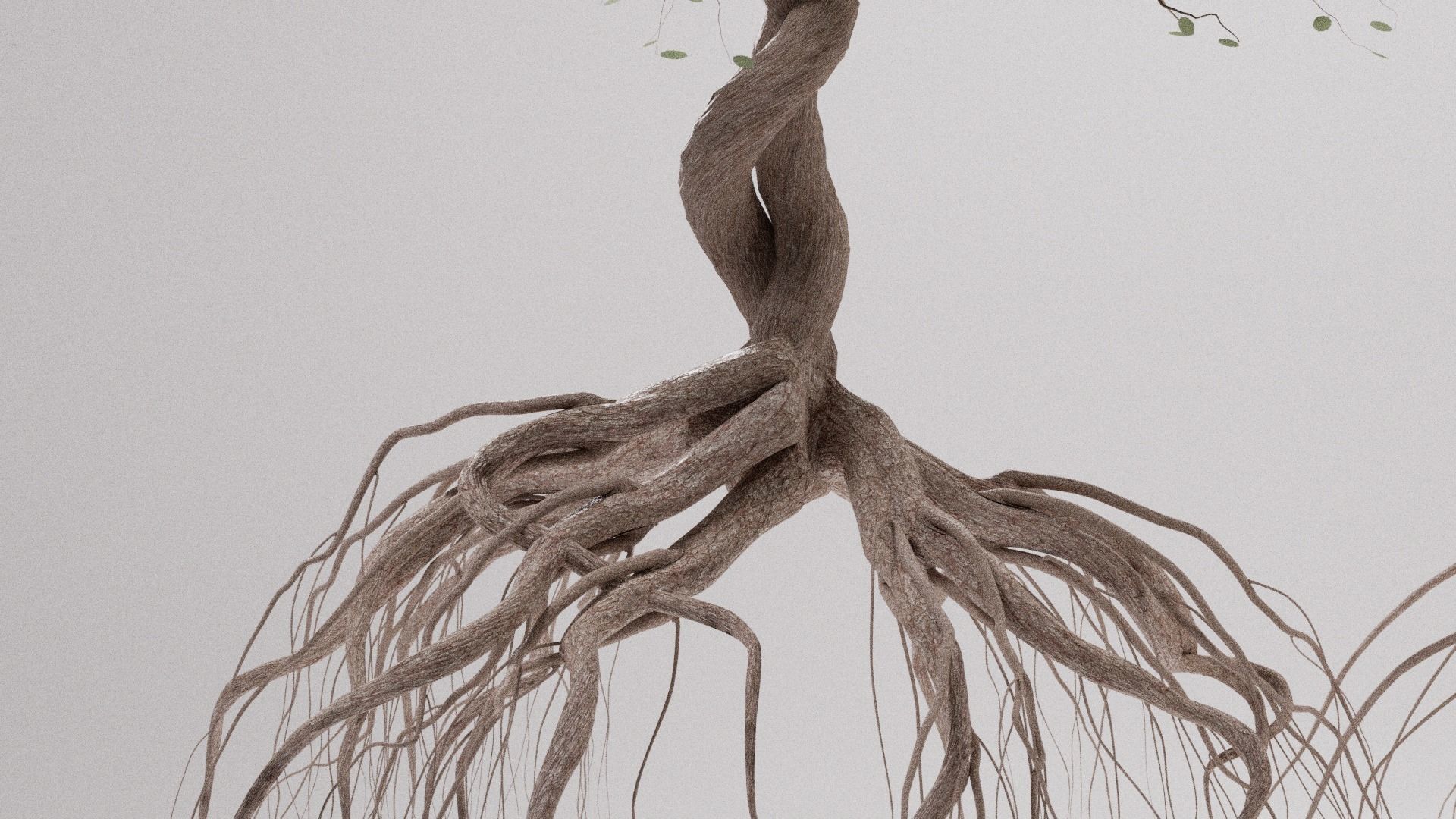 Lowpoly Trees Low-poly 3D model_3