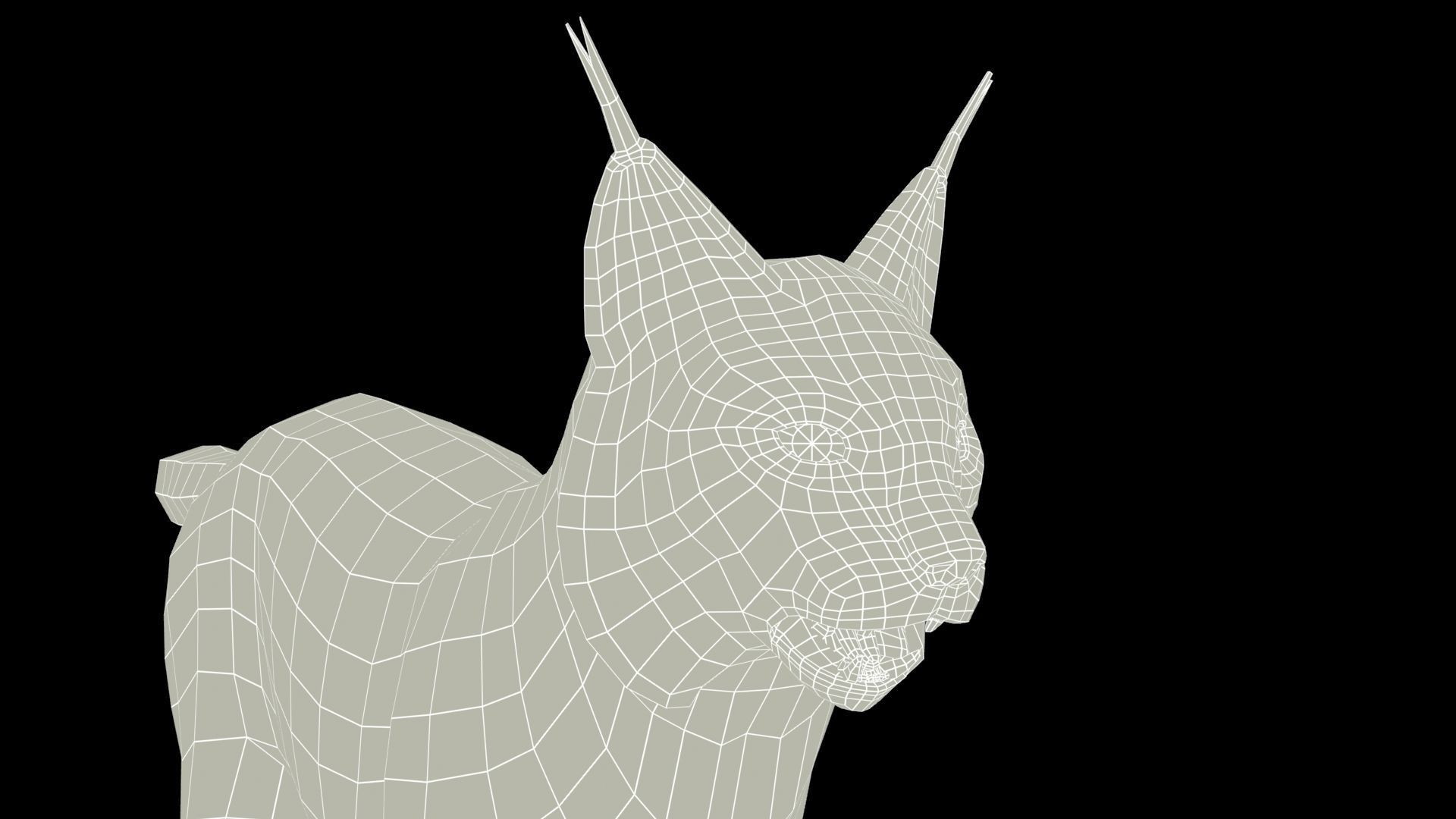 Lynx Animated Low-poly 3D model_14