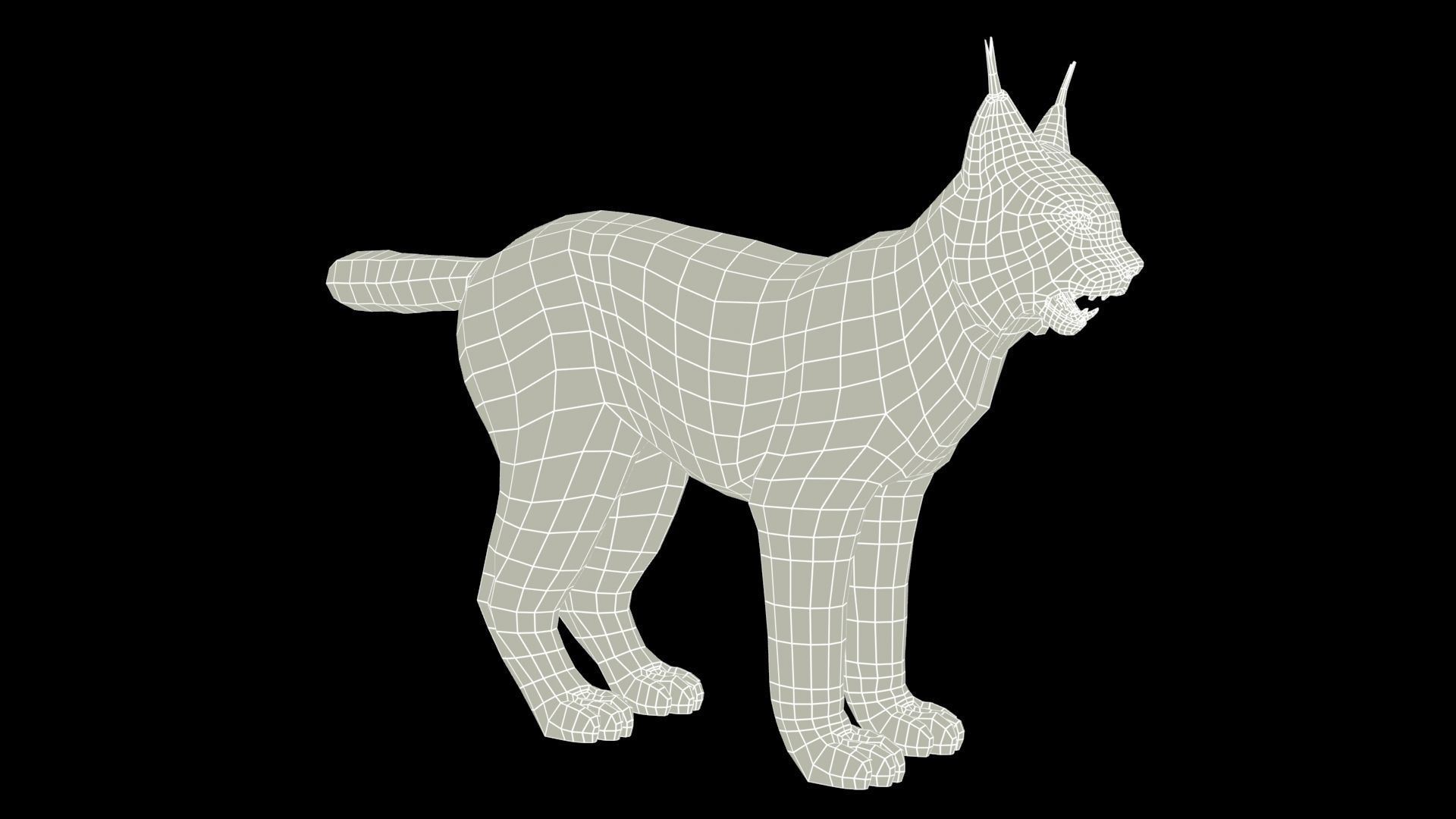 Lynx Animated Low-poly 3D model_12