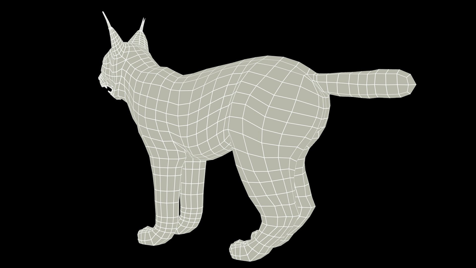 Lynx Animated Low-poly 3D model_13