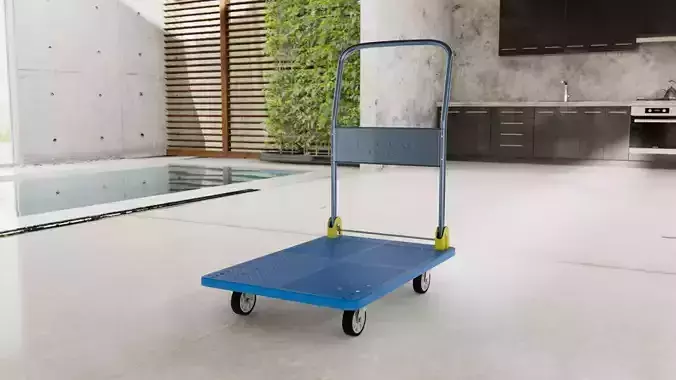 Platform Trolley 