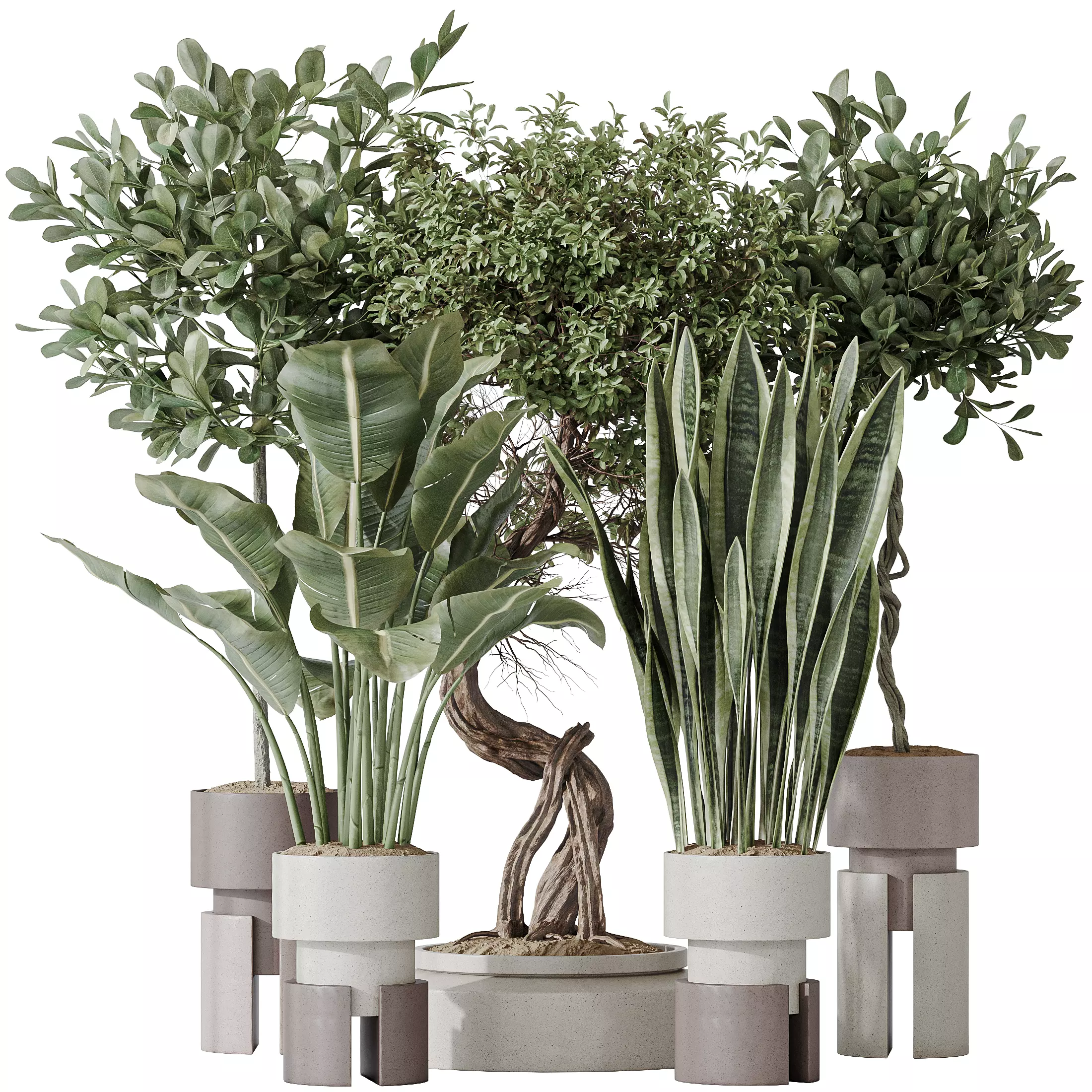 Indoor plant set 57 3D model