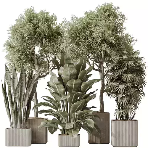 Indoor plant set 61 3D model