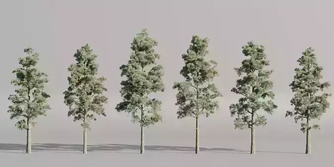 Pine trees collection vol 245-Blender 3D model