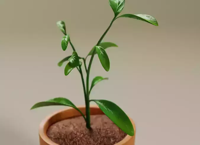 Plant in a pot stylized