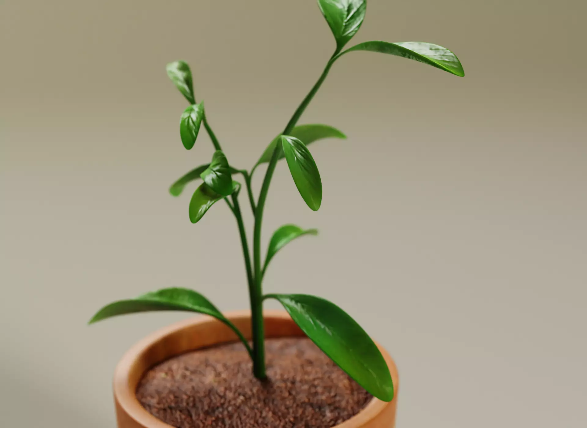 Plant in a pot stylized 3D model_0