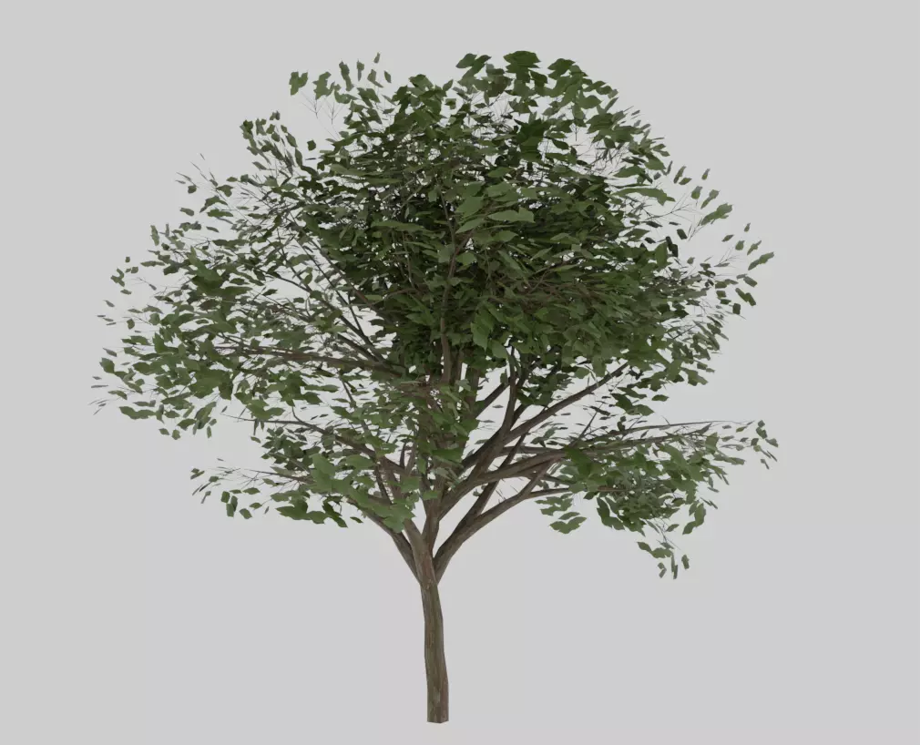 environment tree Free low-poly 3D model