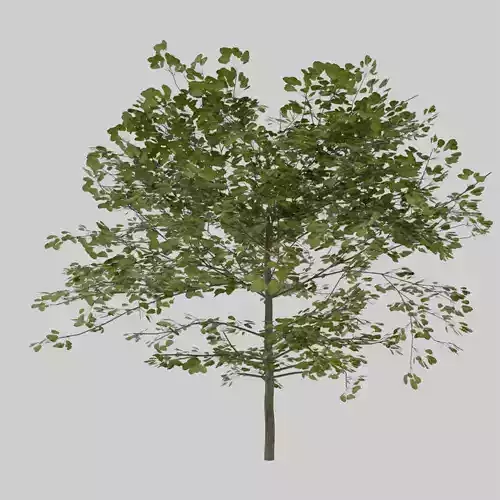 low poly tree