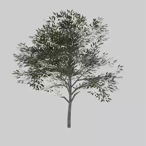 Low Poly Tree