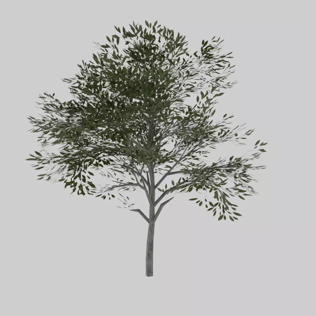 Low Poly Tree Free 3D model_0