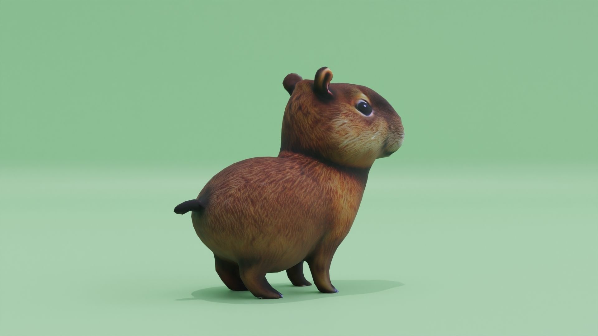 Baby Capybara Cute Low-poly 3D model_8
