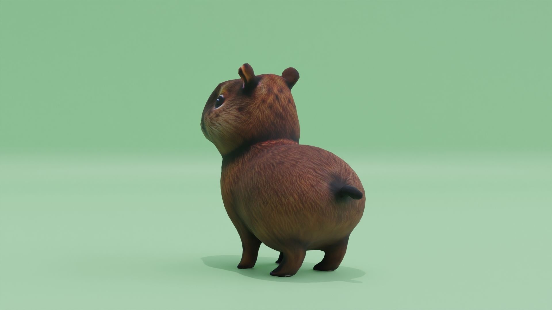 Baby Capybara Cute Low-poly 3D model_4
