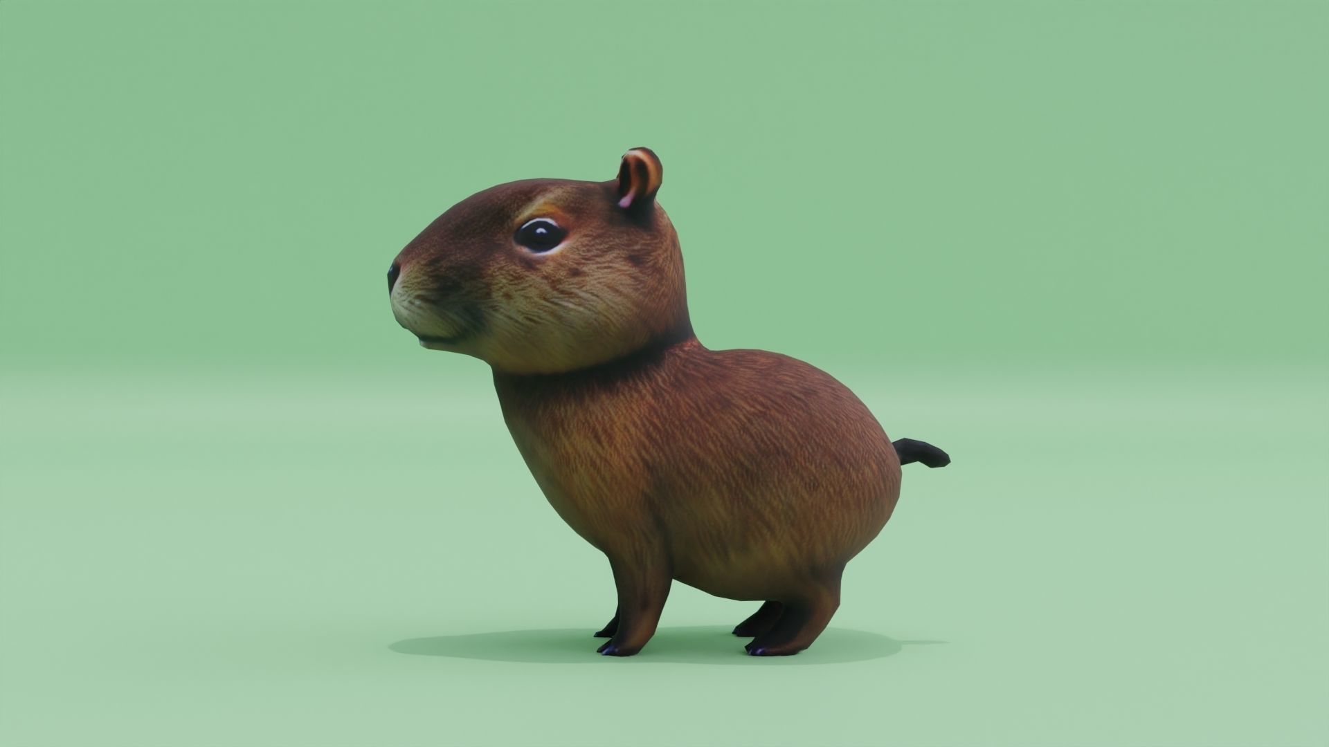 Baby Capybara Cute Low-poly 3D model_2