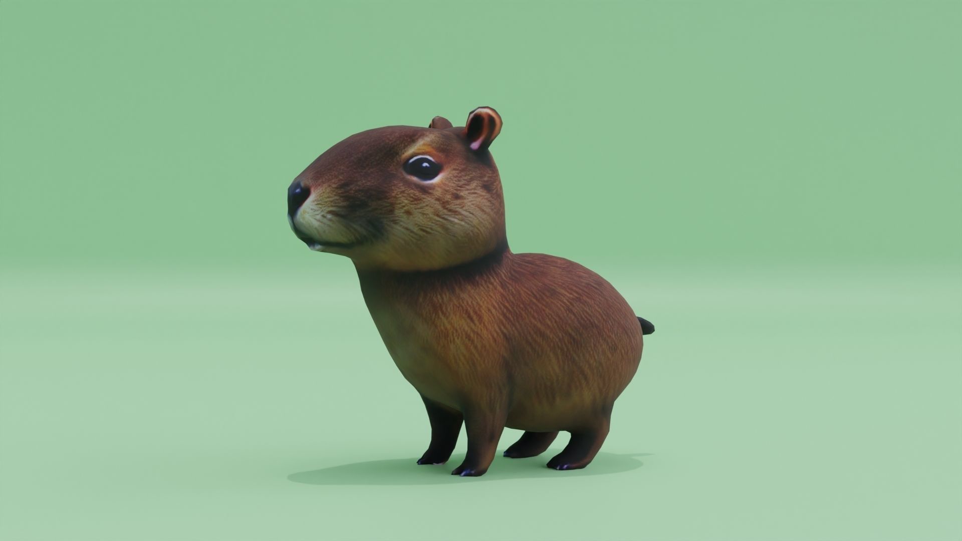 Baby Capybara Cute Low-poly 3D model_1