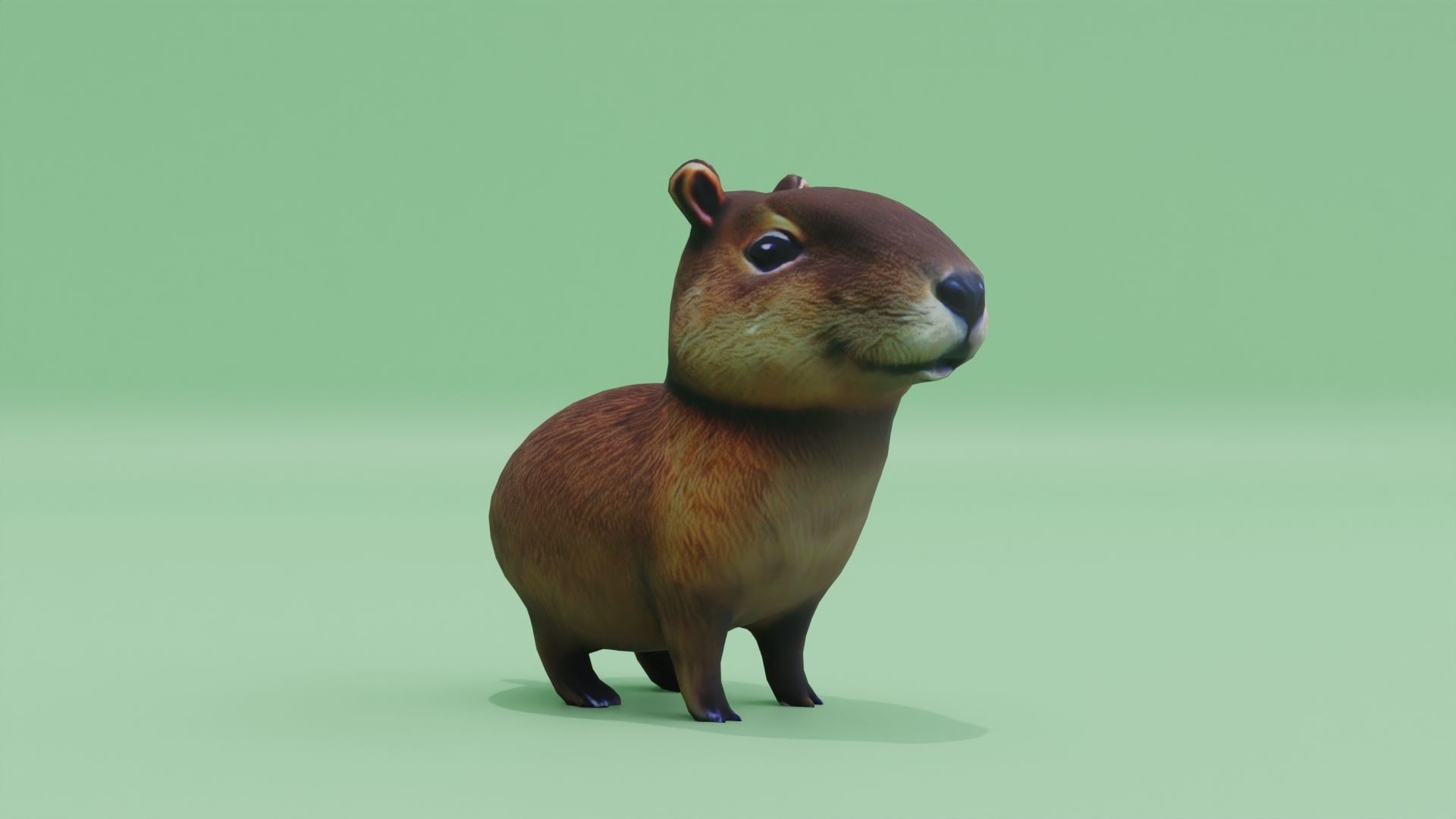 Baby Capybara Cute Low-poly 3D model_10