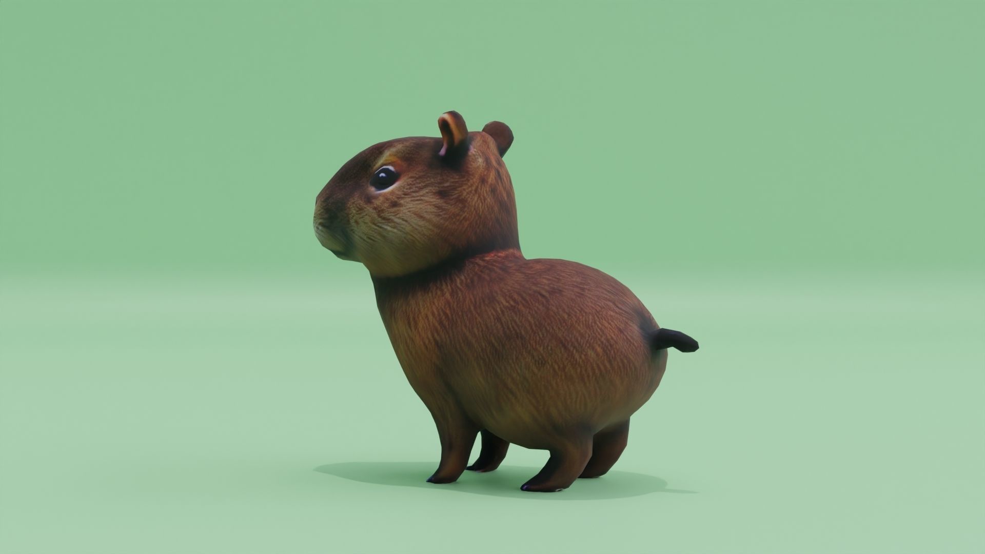 Baby Capybara Cute Low-poly 3D model_3