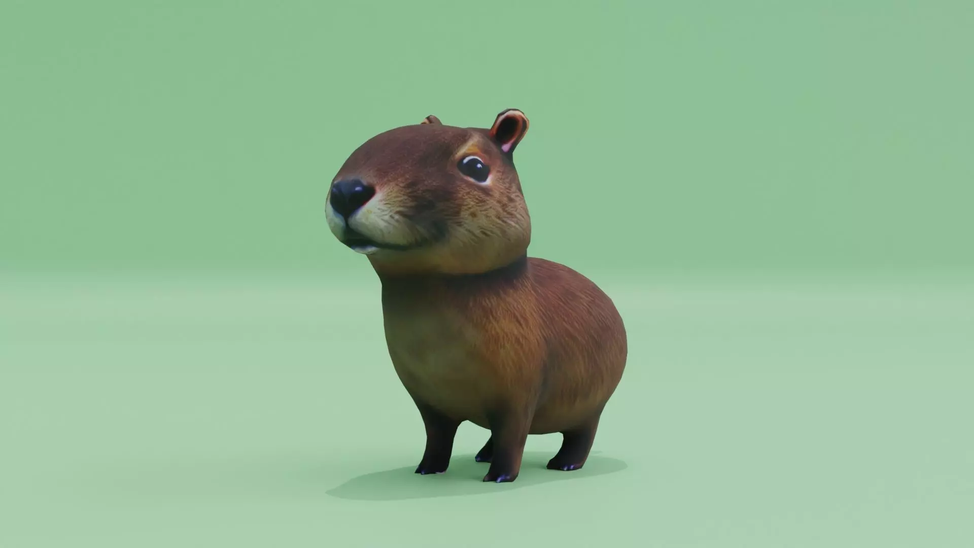 Baby Capybara Cute Low-poly 3D model_0