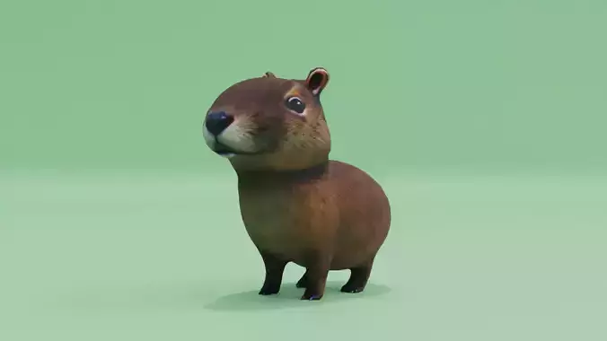 Baby Capybara Cute