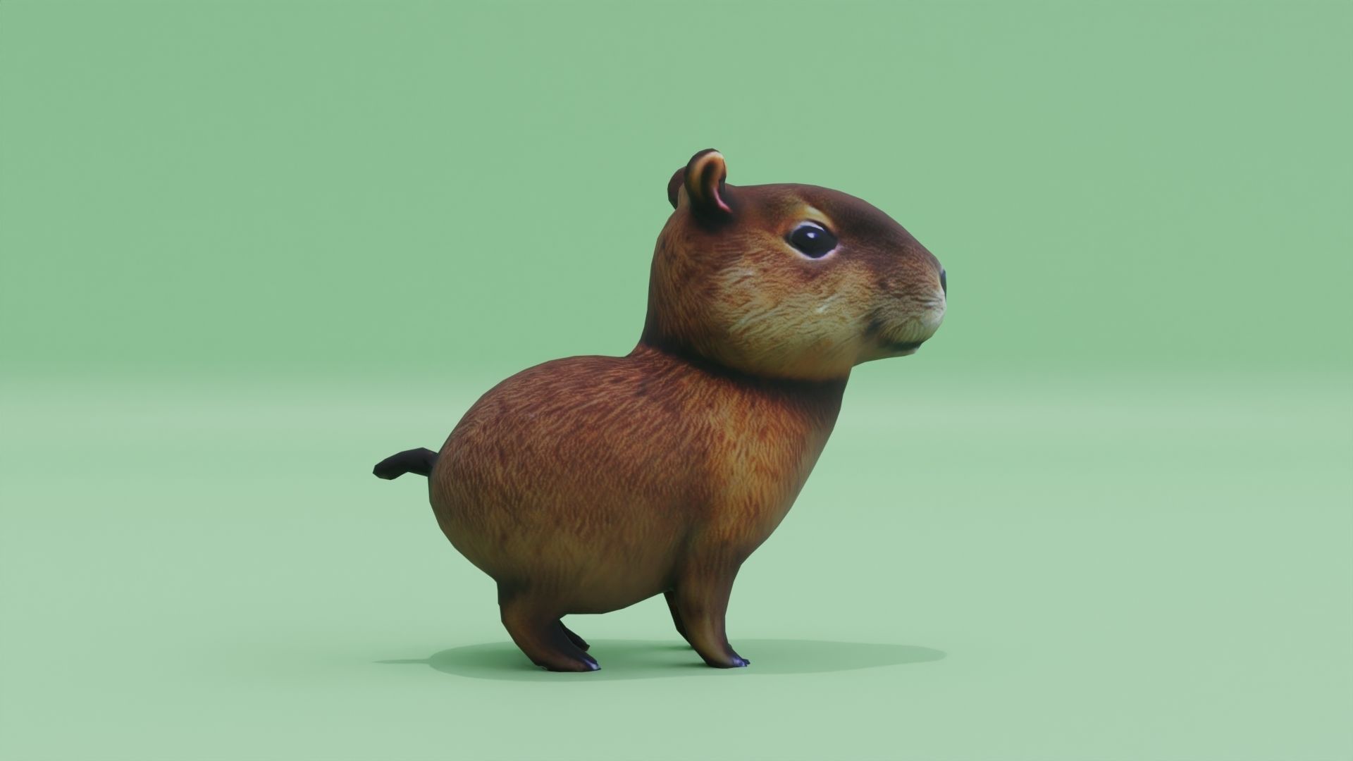 Baby Capybara Cute Low-poly 3D model_9