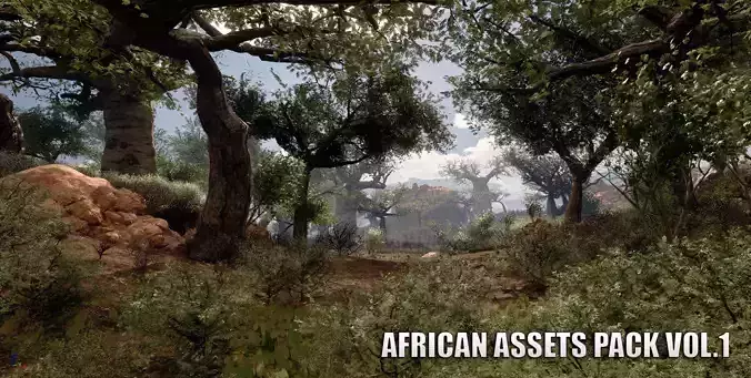 African Trees - Vol1