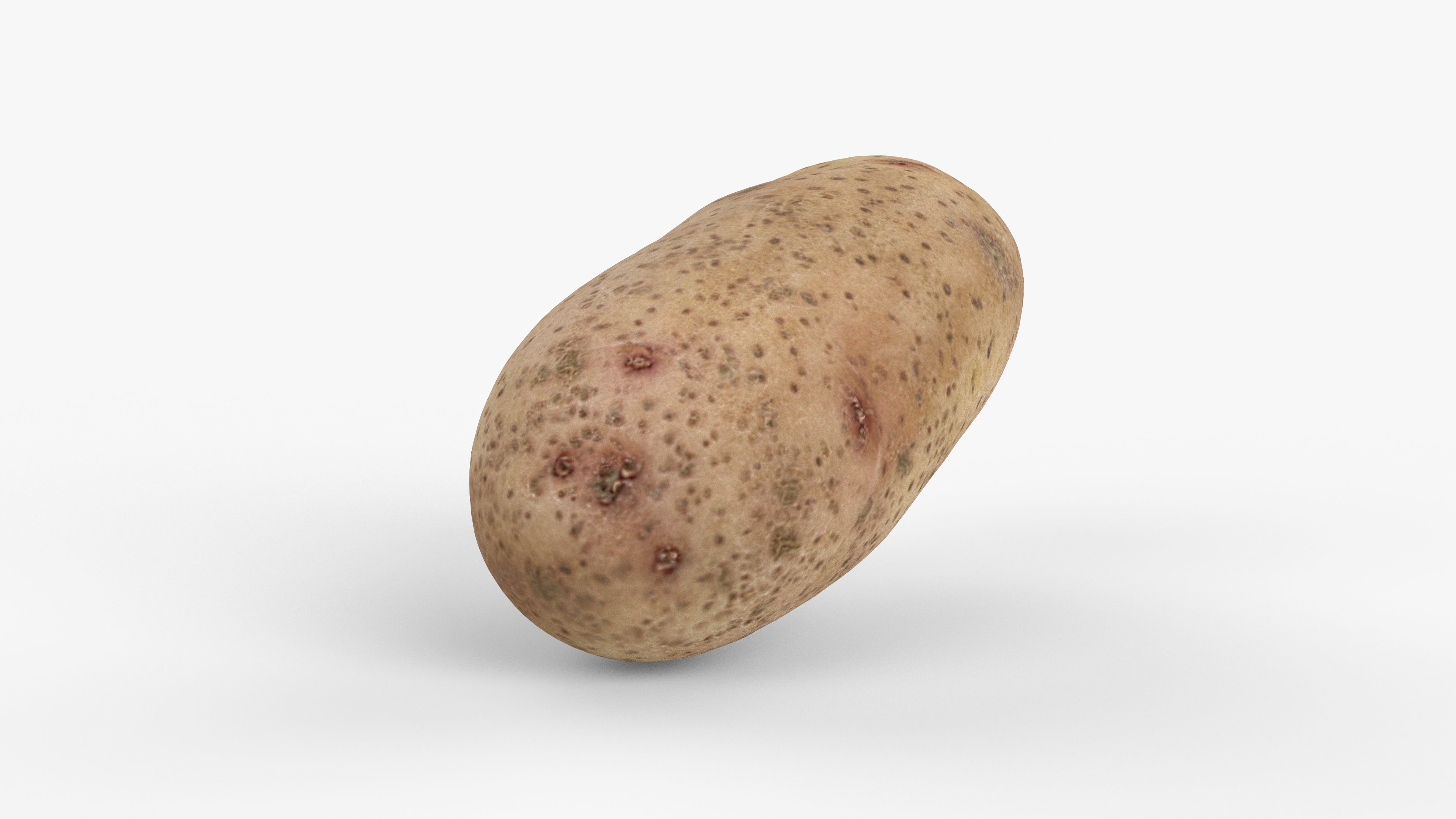 Photorealistic 3D scan of potato Low-poly 3D model_6