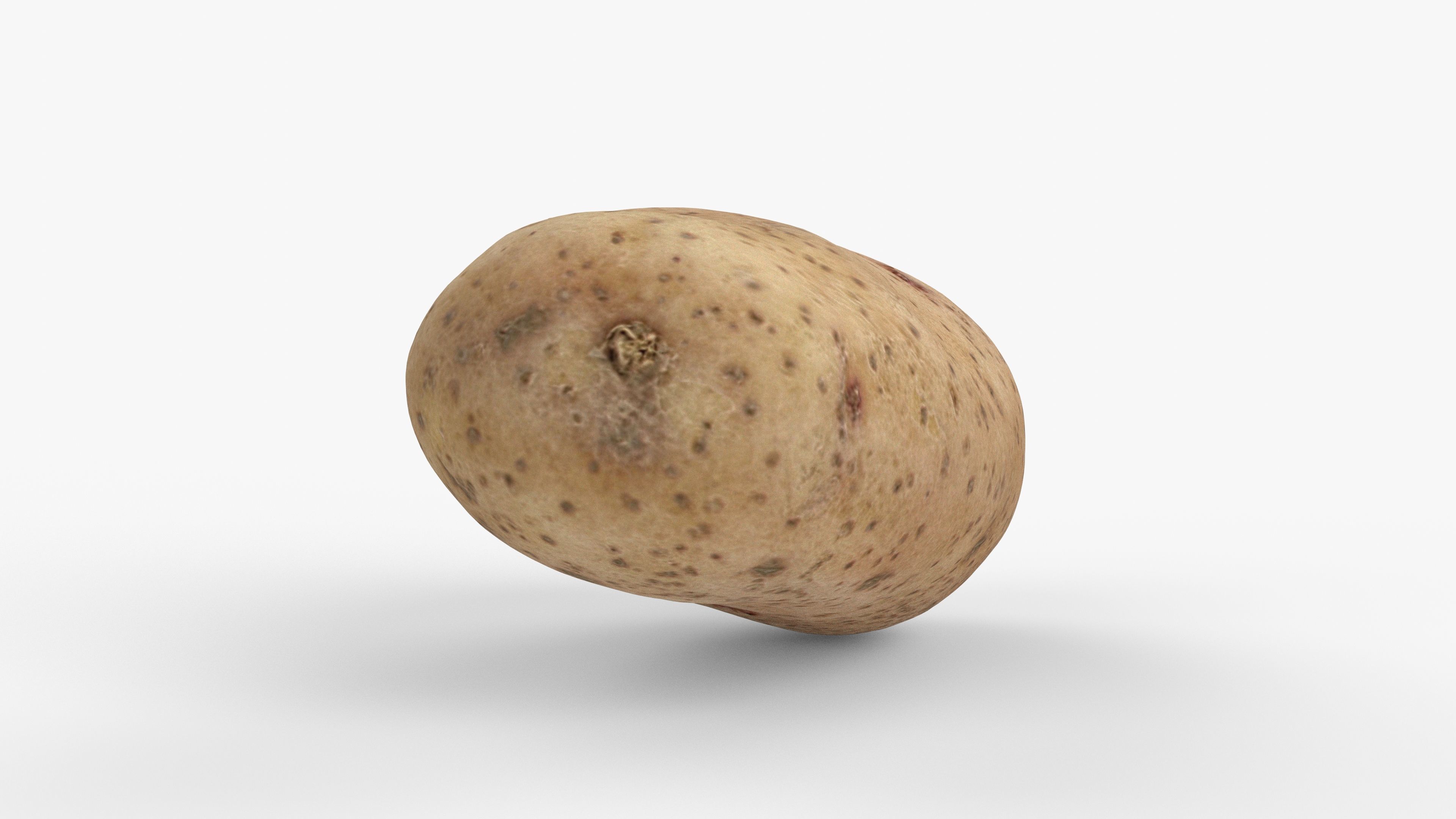 Photorealistic 3D scan of potato Low-poly 3D model_3