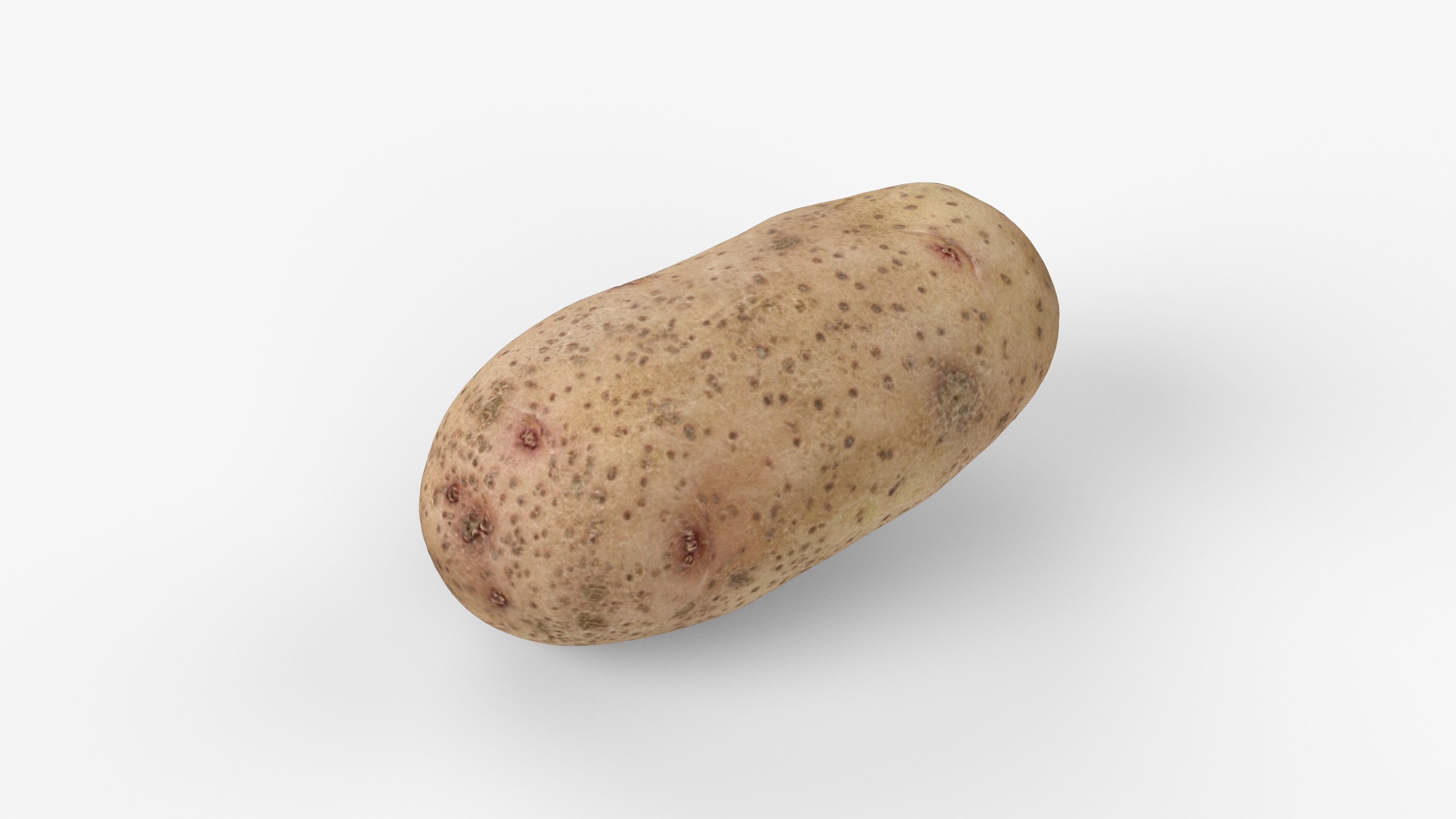 Photorealistic 3D scan of potato Low-poly 3D model_4
