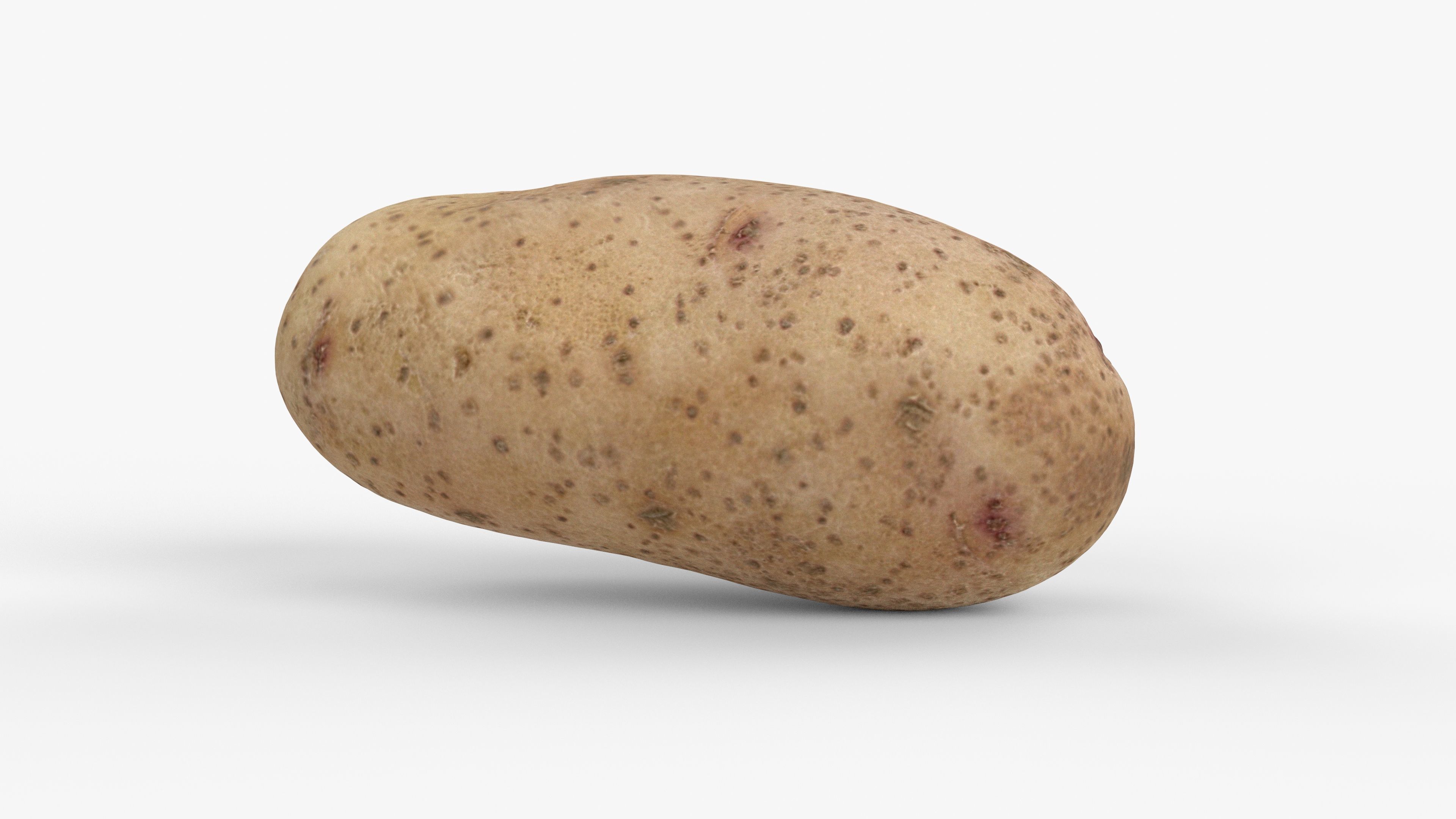 Photorealistic 3D scan of potato Low-poly 3D model_12
