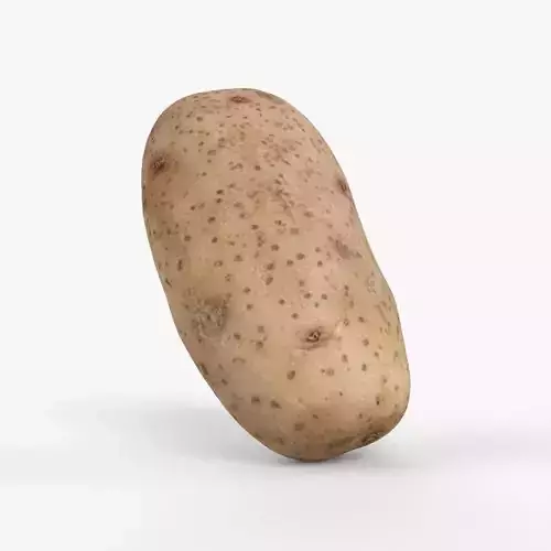 Photorealistic 3D scan of potato