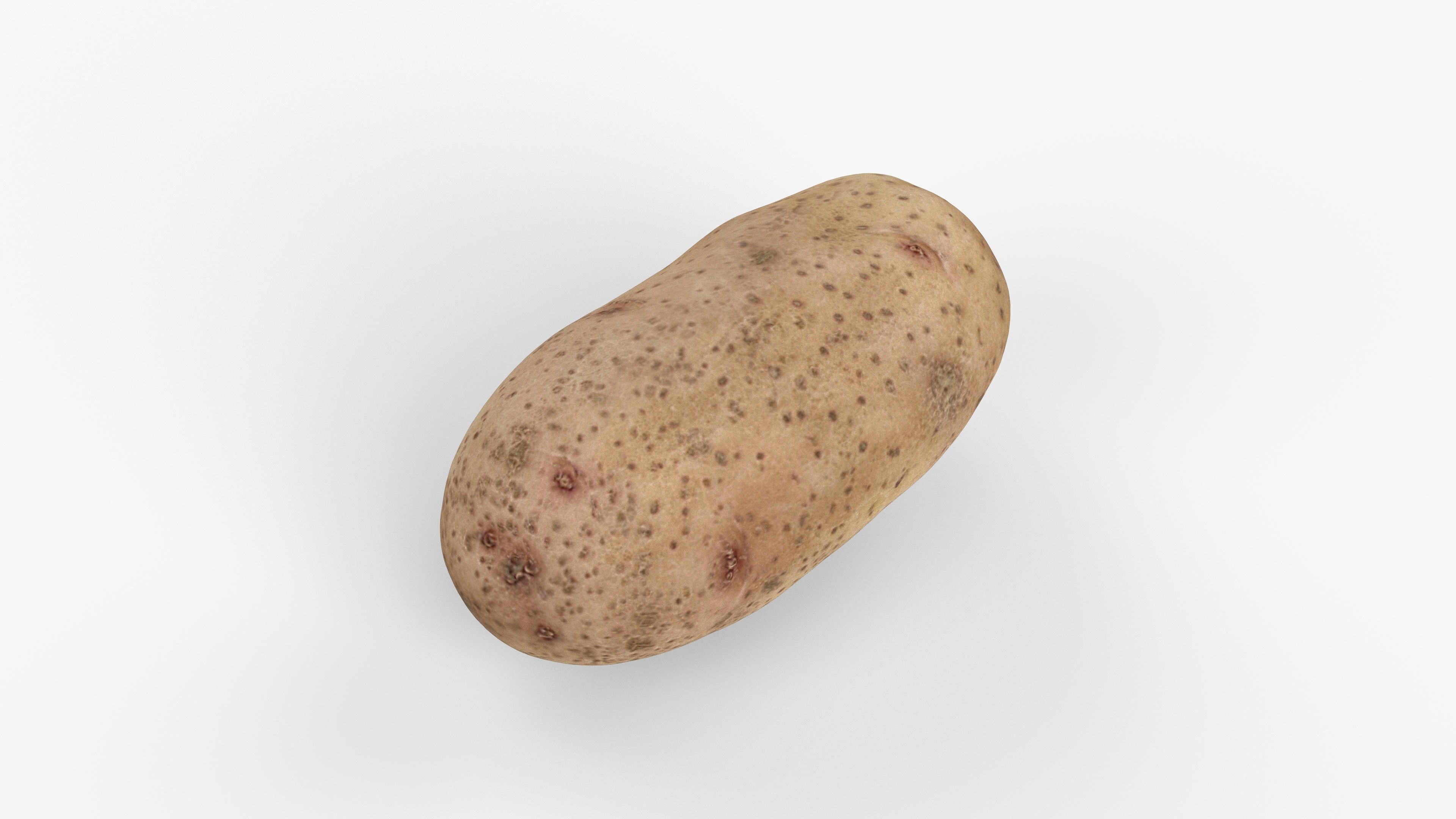 Photorealistic 3D scan of potato Low-poly 3D model_2