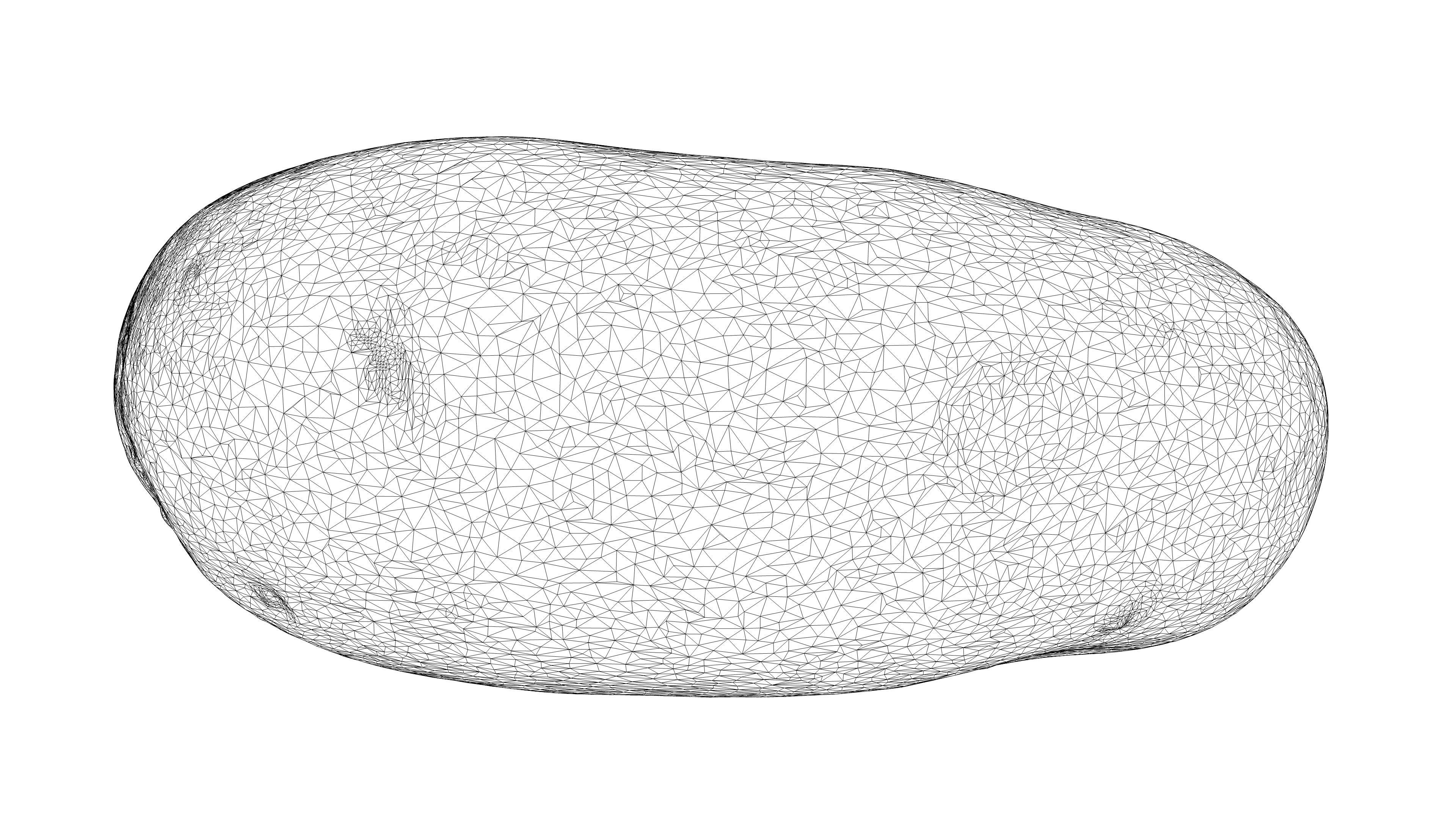 Photorealistic 3D scan of potato Low-poly 3D model_23