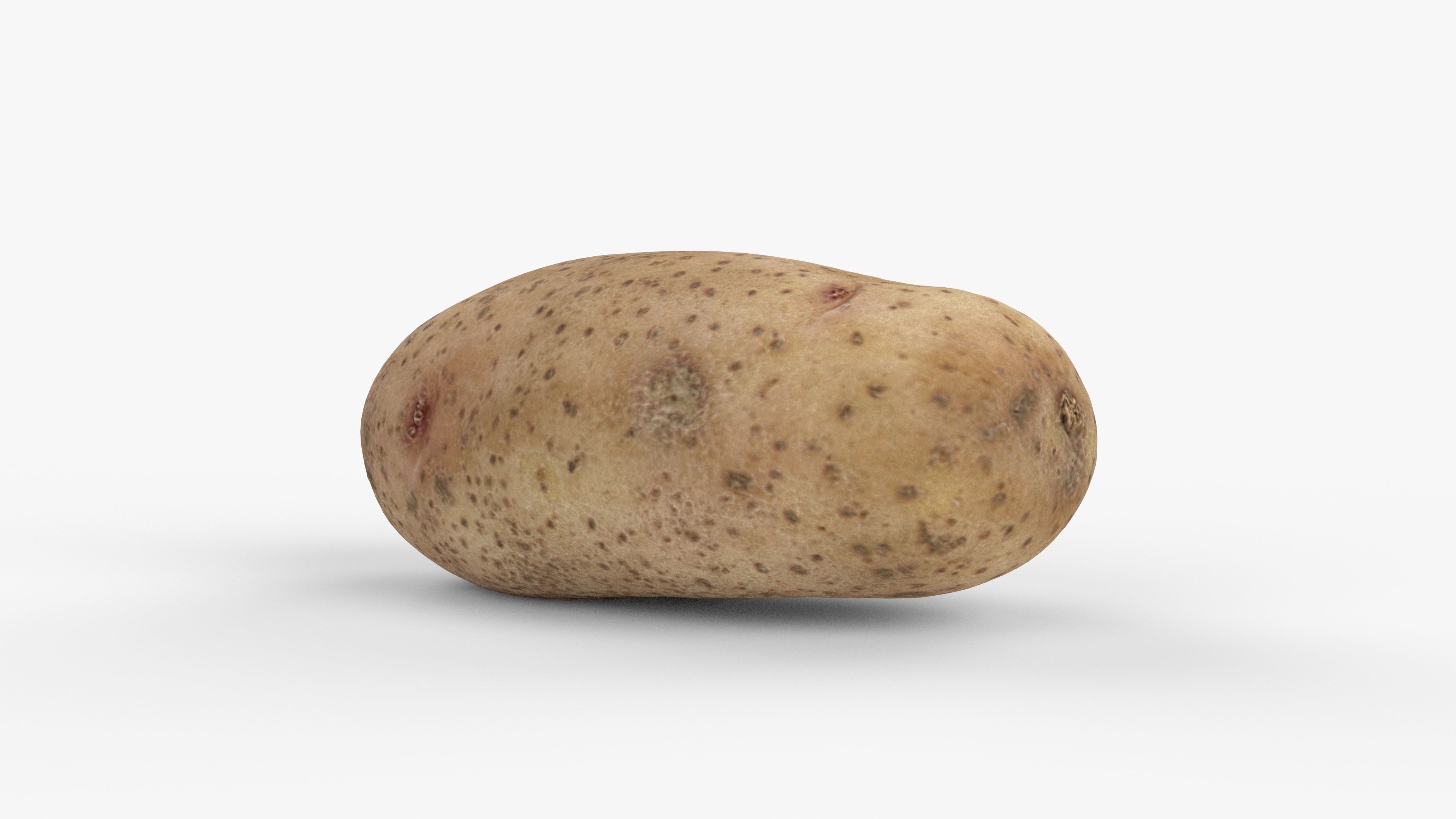 Photorealistic 3D scan of potato Low-poly 3D model_1