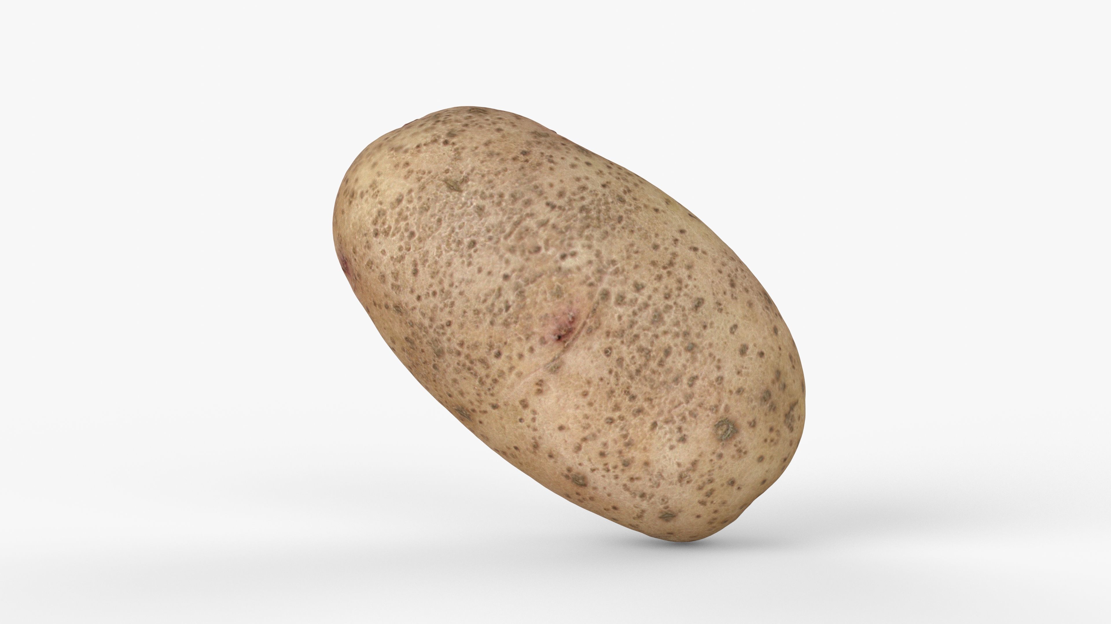 Photorealistic 3D scan of potato Low-poly 3D model_11
