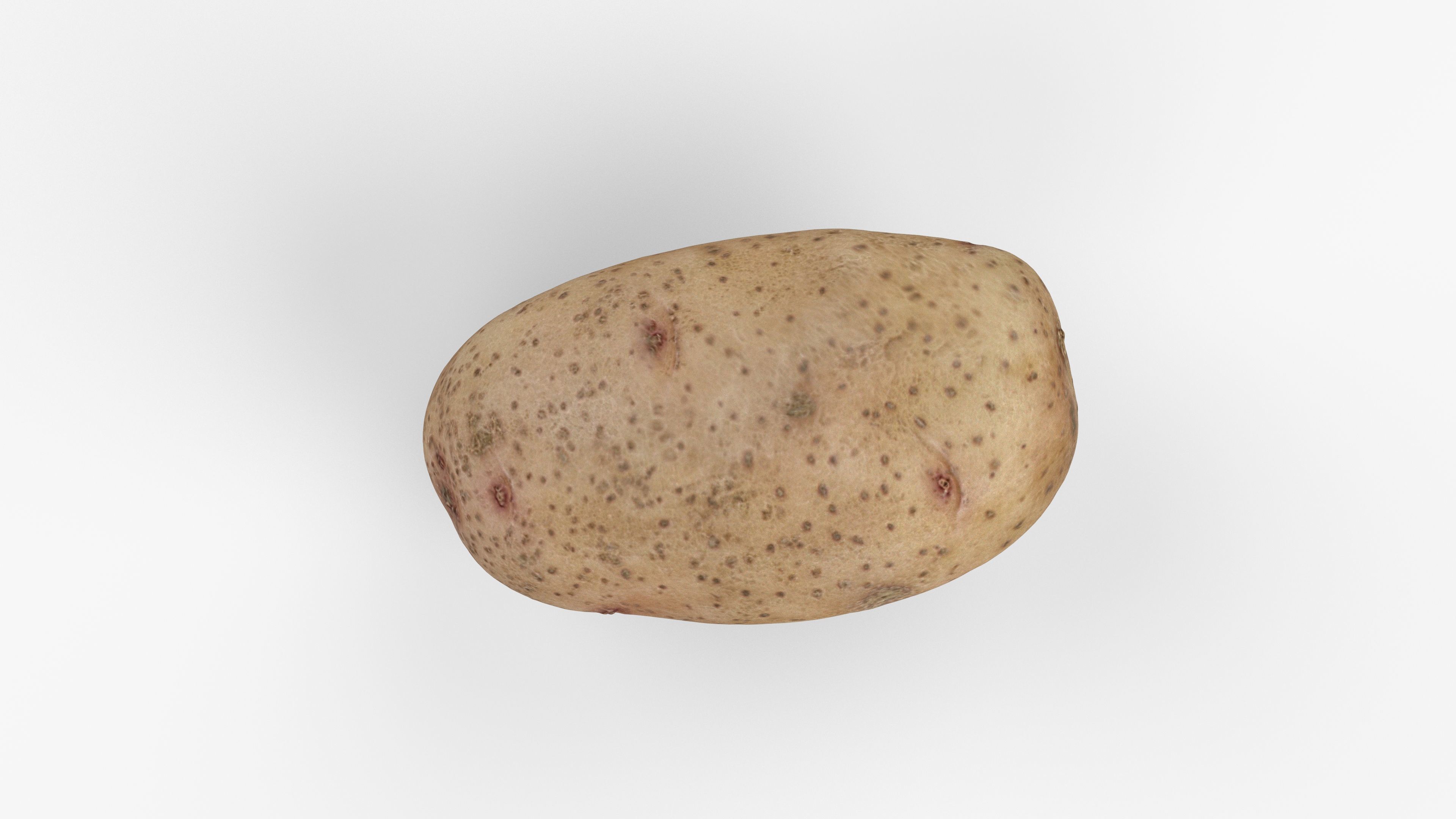 Photorealistic 3D scan of potato Low-poly 3D model_8