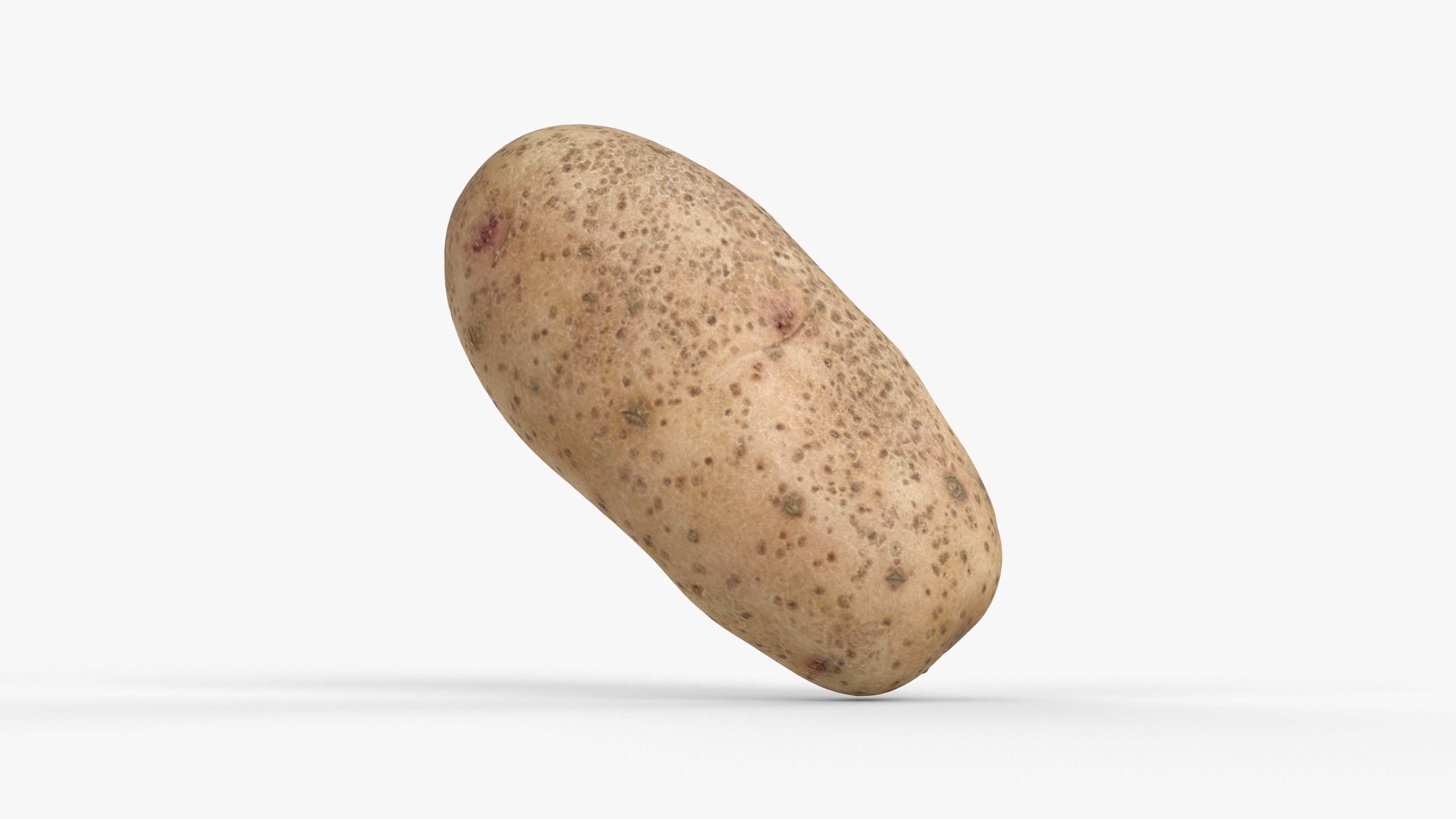 Photorealistic 3D scan of potato Low-poly 3D model_9