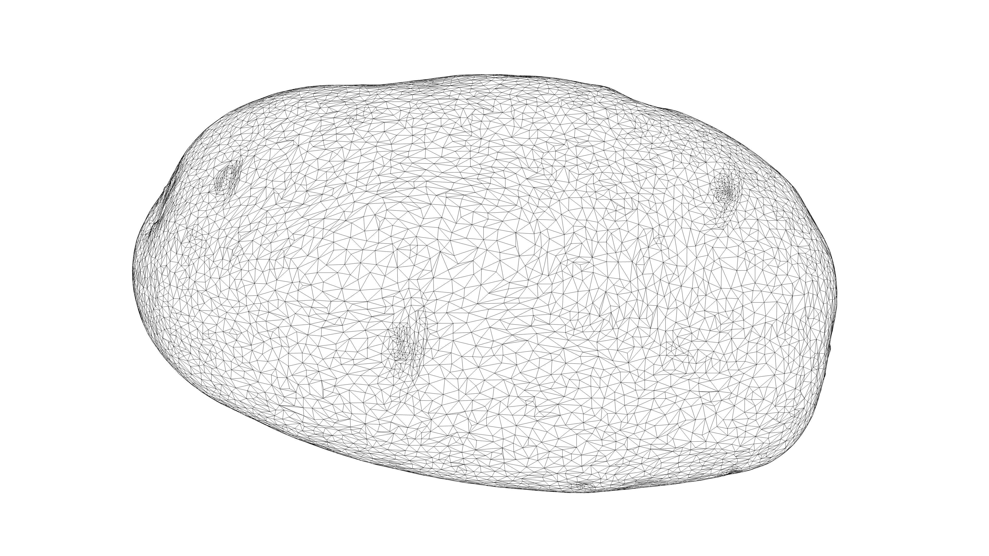 Photorealistic 3D scan of potato Low-poly 3D model_20