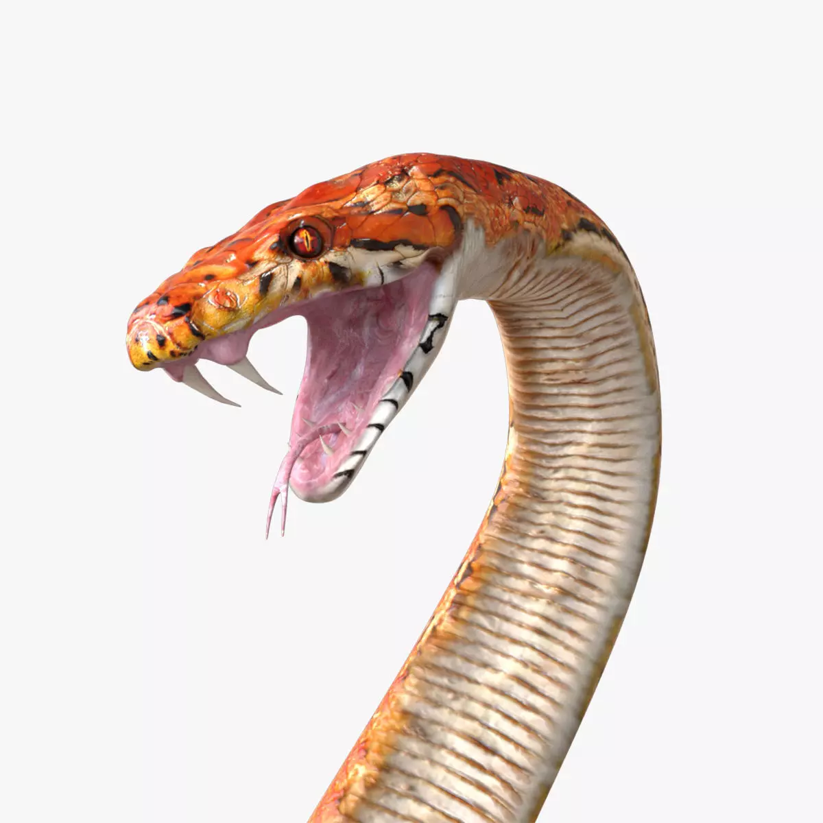 Snake rigged 3D model_0