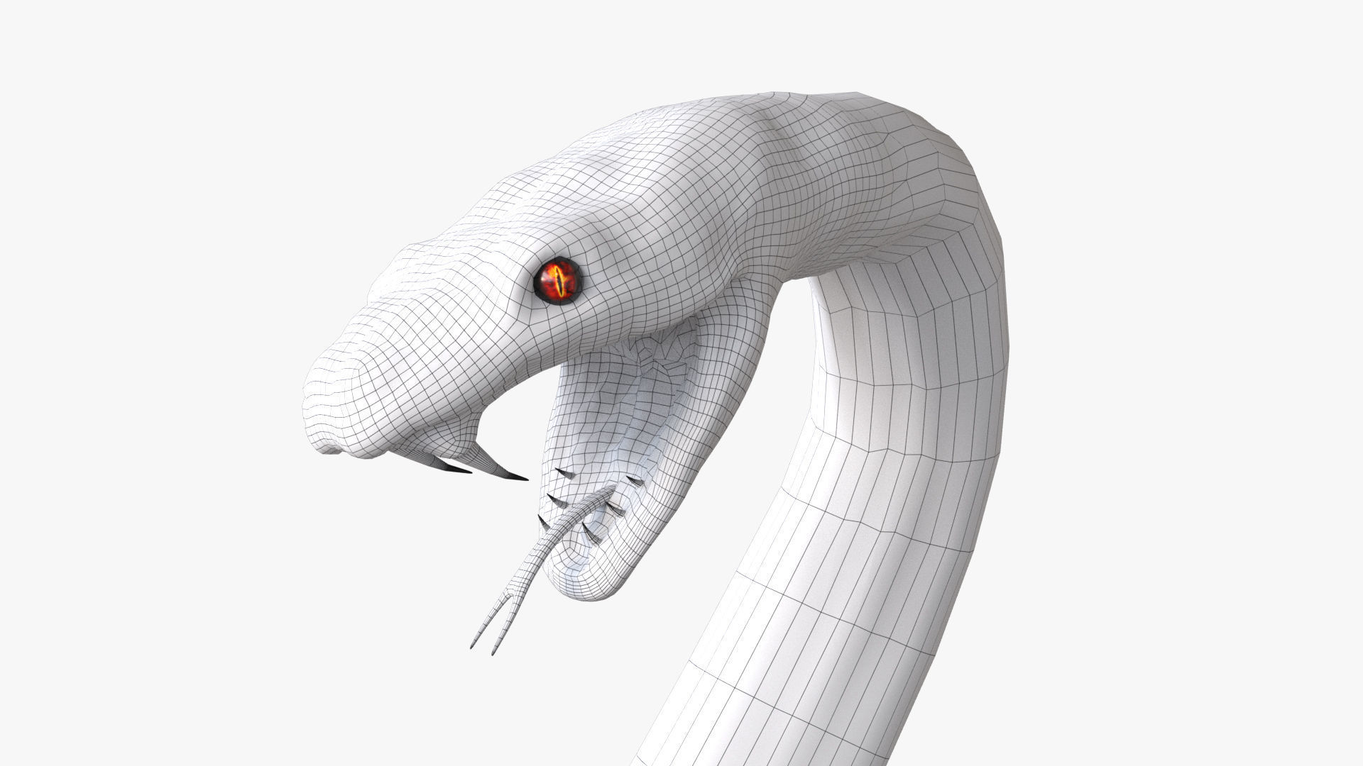 Snake rigged 3D model_4