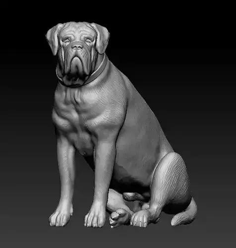 Dogue de Bordeaux Dogo de Burdeos 3D print model
