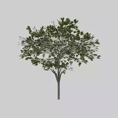 LowPOly Tree 