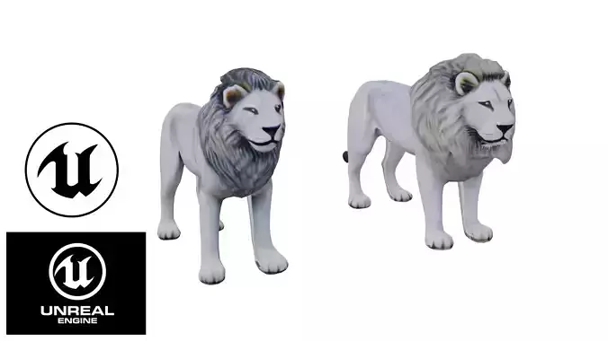 Realistic white lion low poly Low-poly 3D model