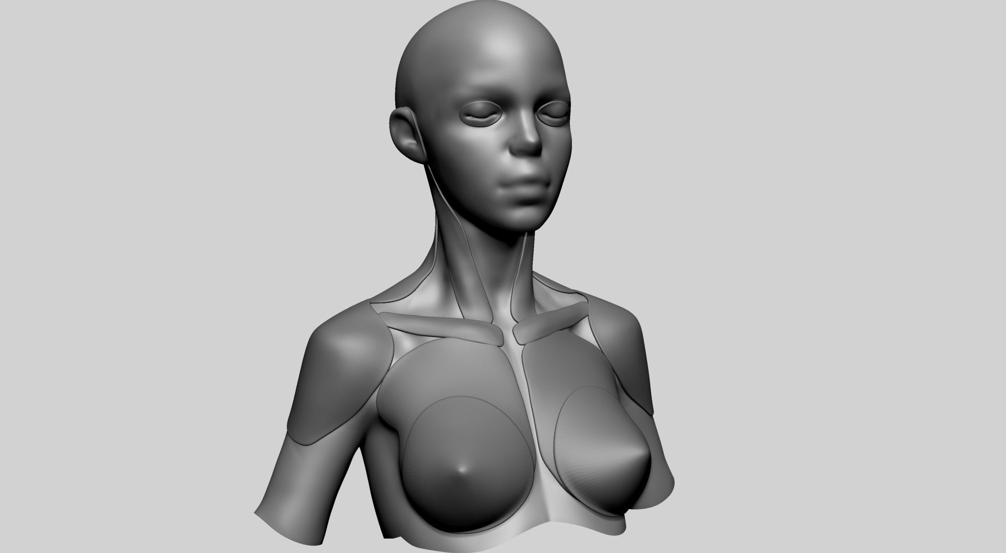 Stylized Female Anatomy - Upper 3D model_2