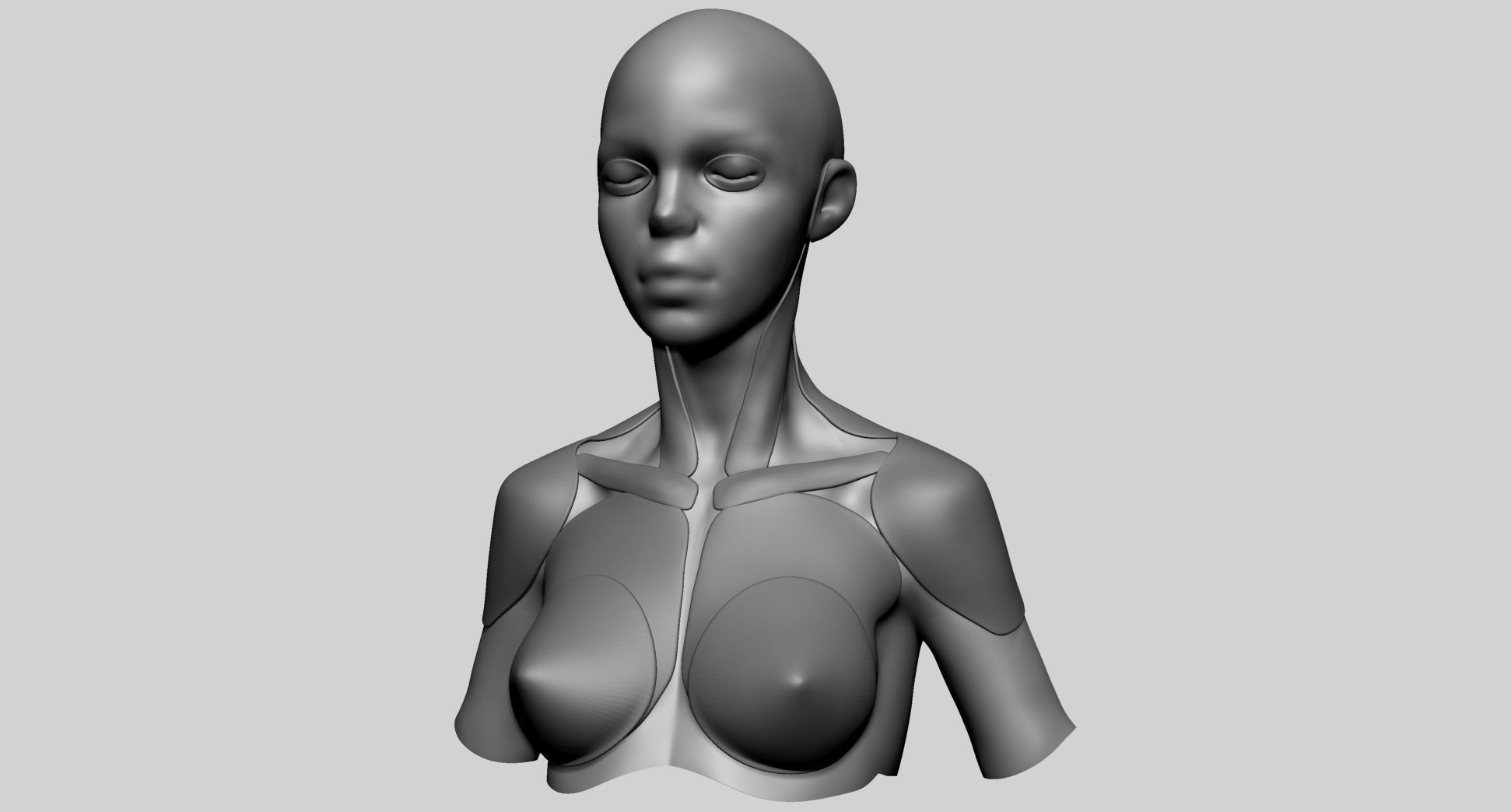 Stylized Female Anatomy - Upper 3D model_9