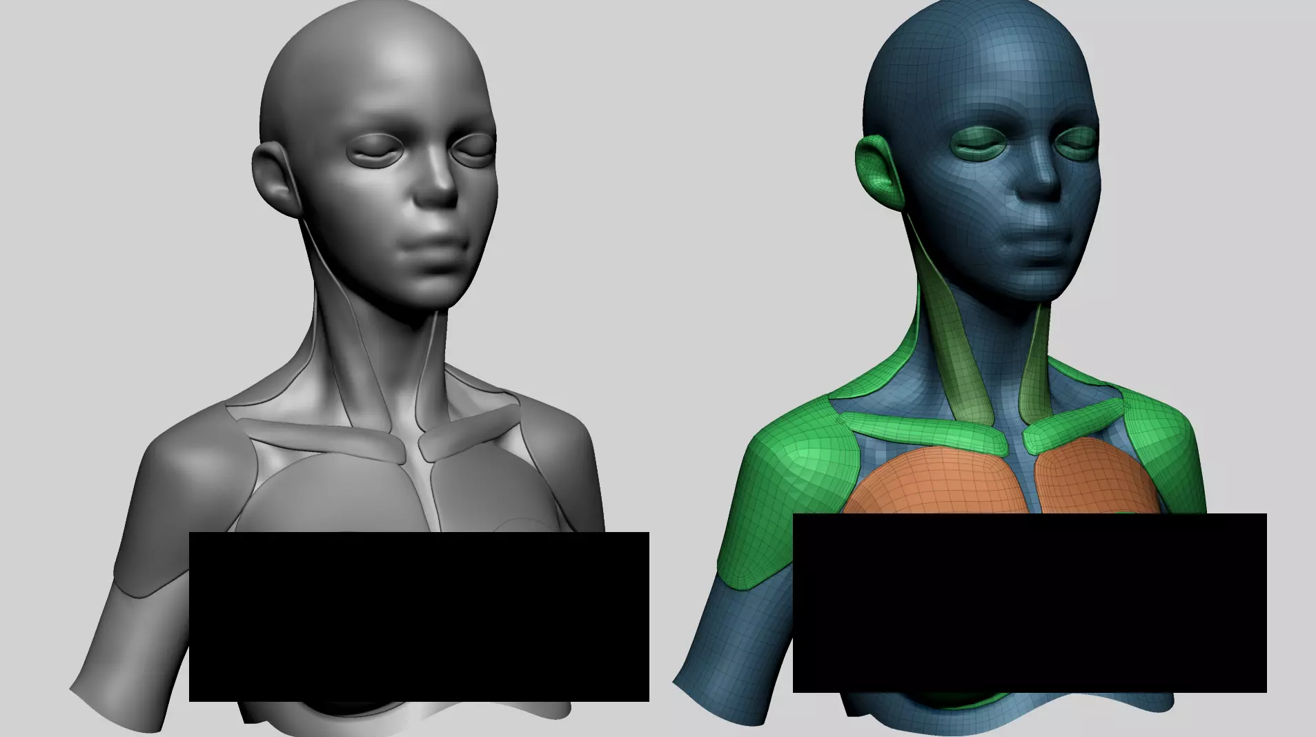 Stylized Female Anatomy - Upper 3D model_0