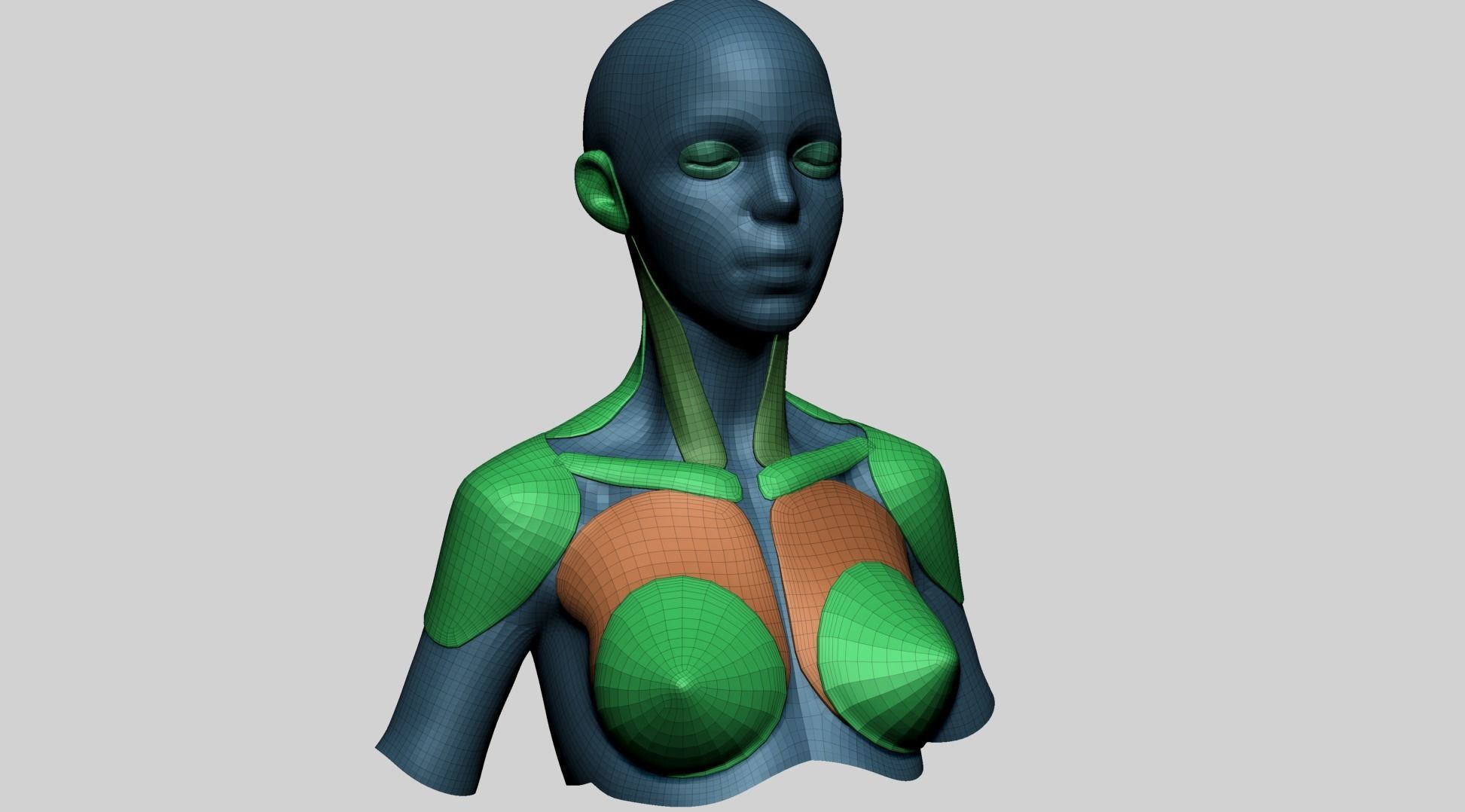 Stylized Female Anatomy - Upper 3D model_3