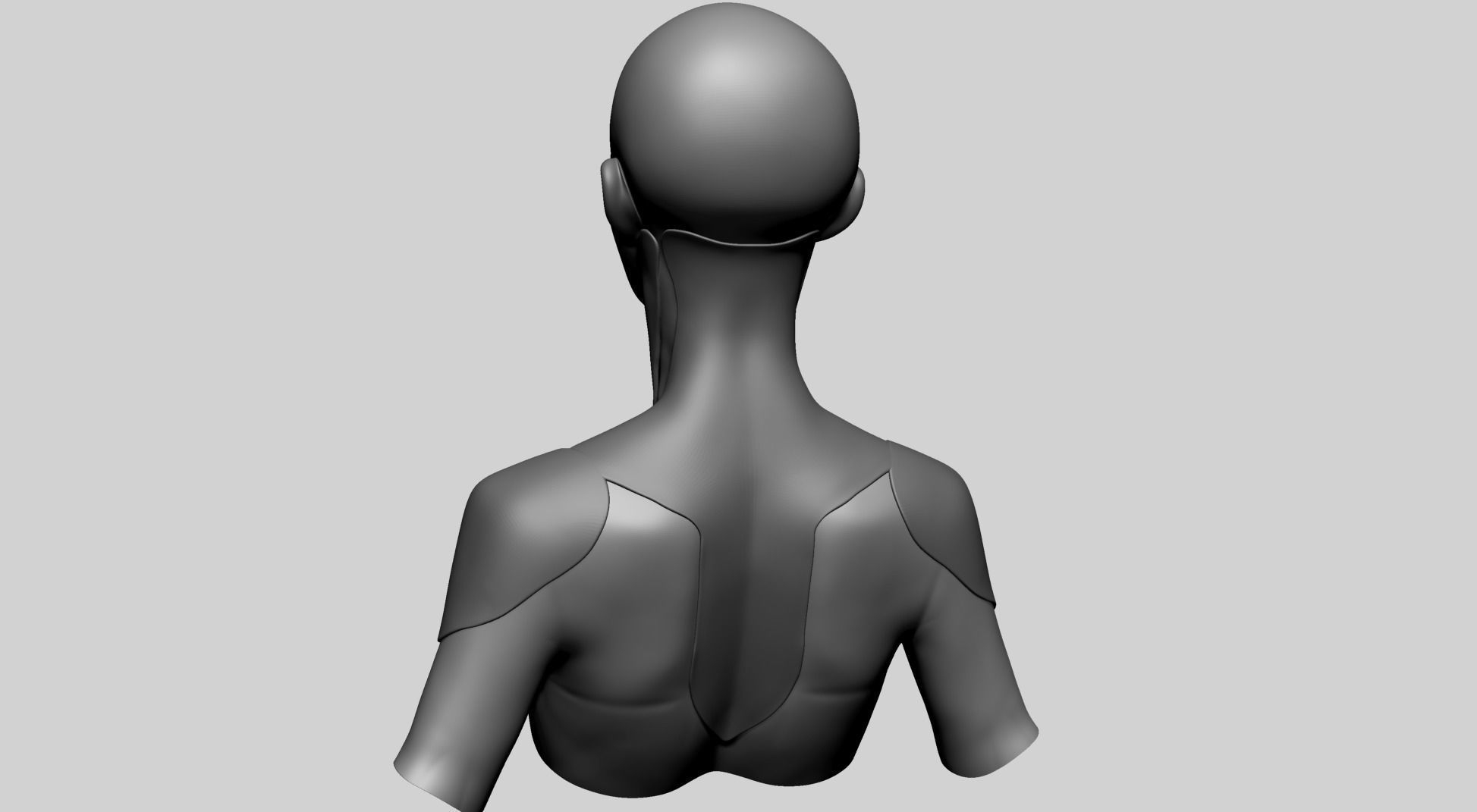 Stylized Female Anatomy - Upper 3D model_7